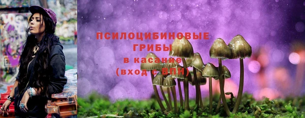 мескалин Белокуриха