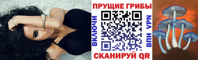 Галлюциногенные грибы Magic Shrooms Городовиковск