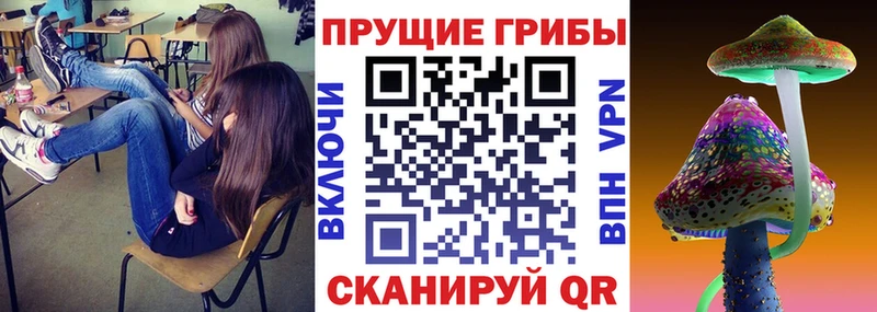 Псилоцибиновые грибы Psilocybine cubensis  Городовиковск 